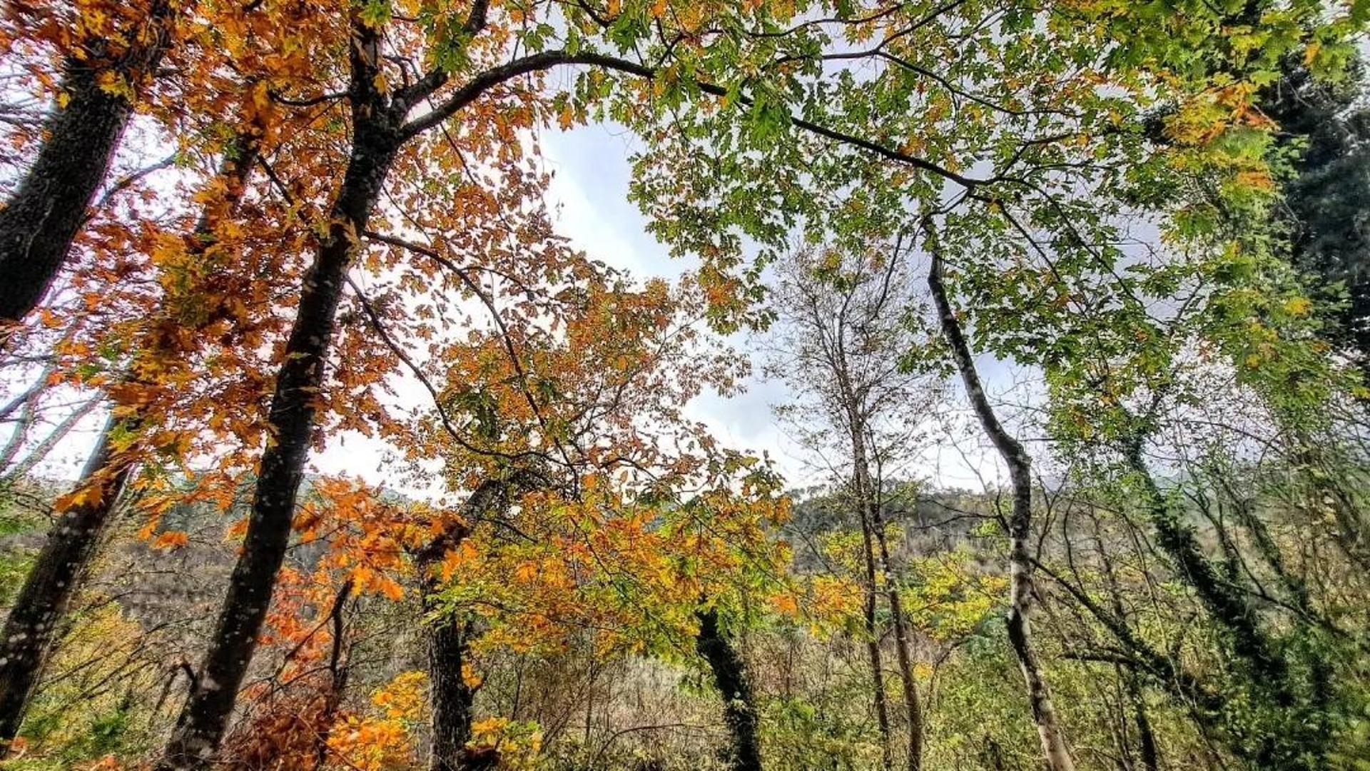 Un rifugio tutto per te nel cuore della Liguria nascosta