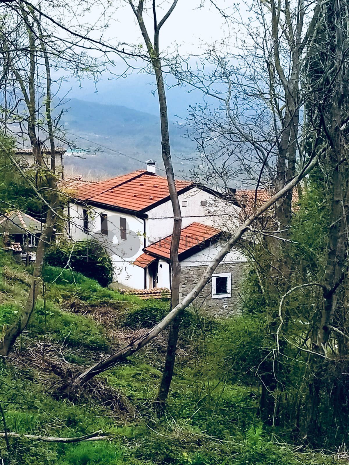 Vendita Semindipendente Porzione di casa a Tresana,  (MS) - A515