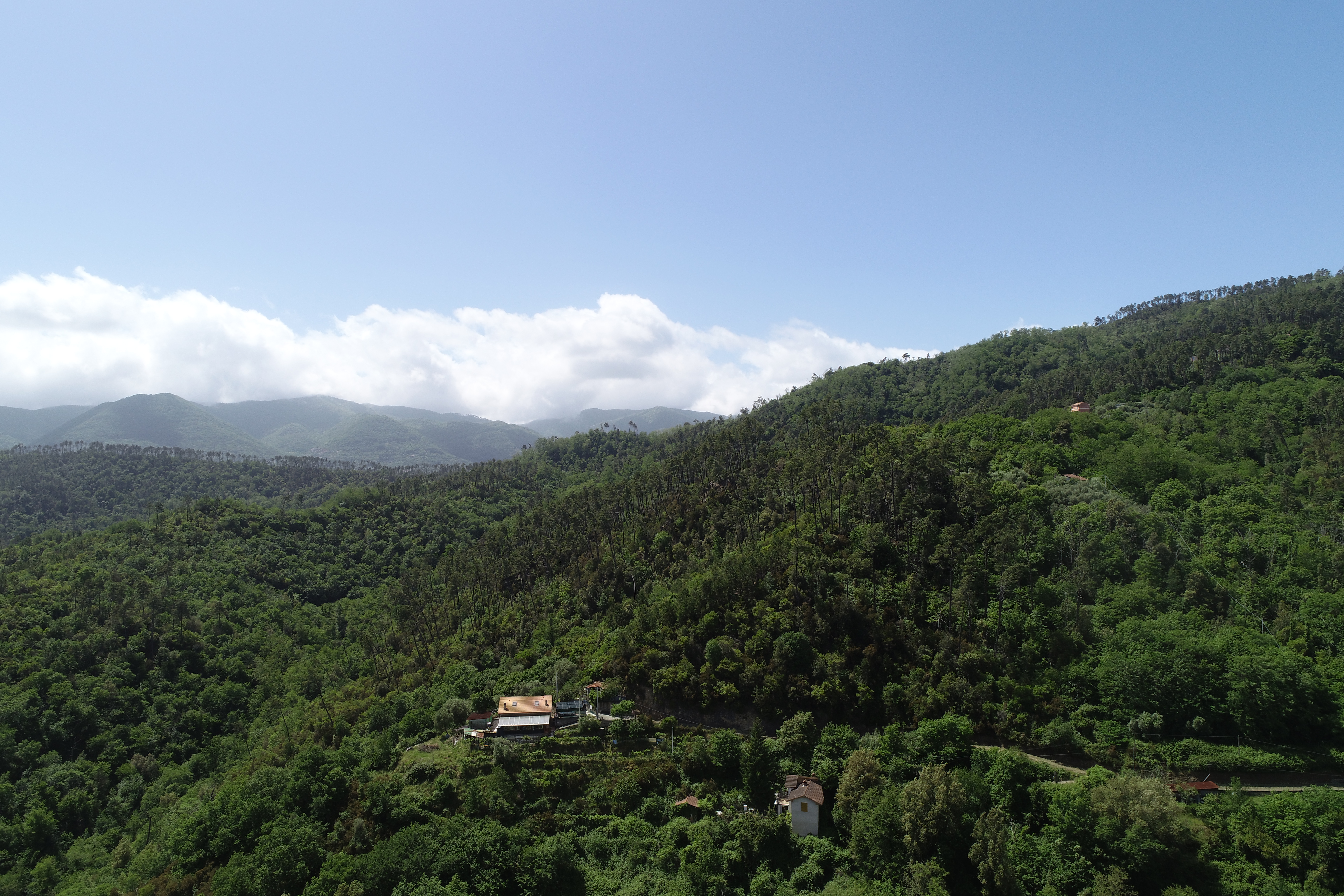 Terreno edificabile con progetto già sviluppato per villa indipendente