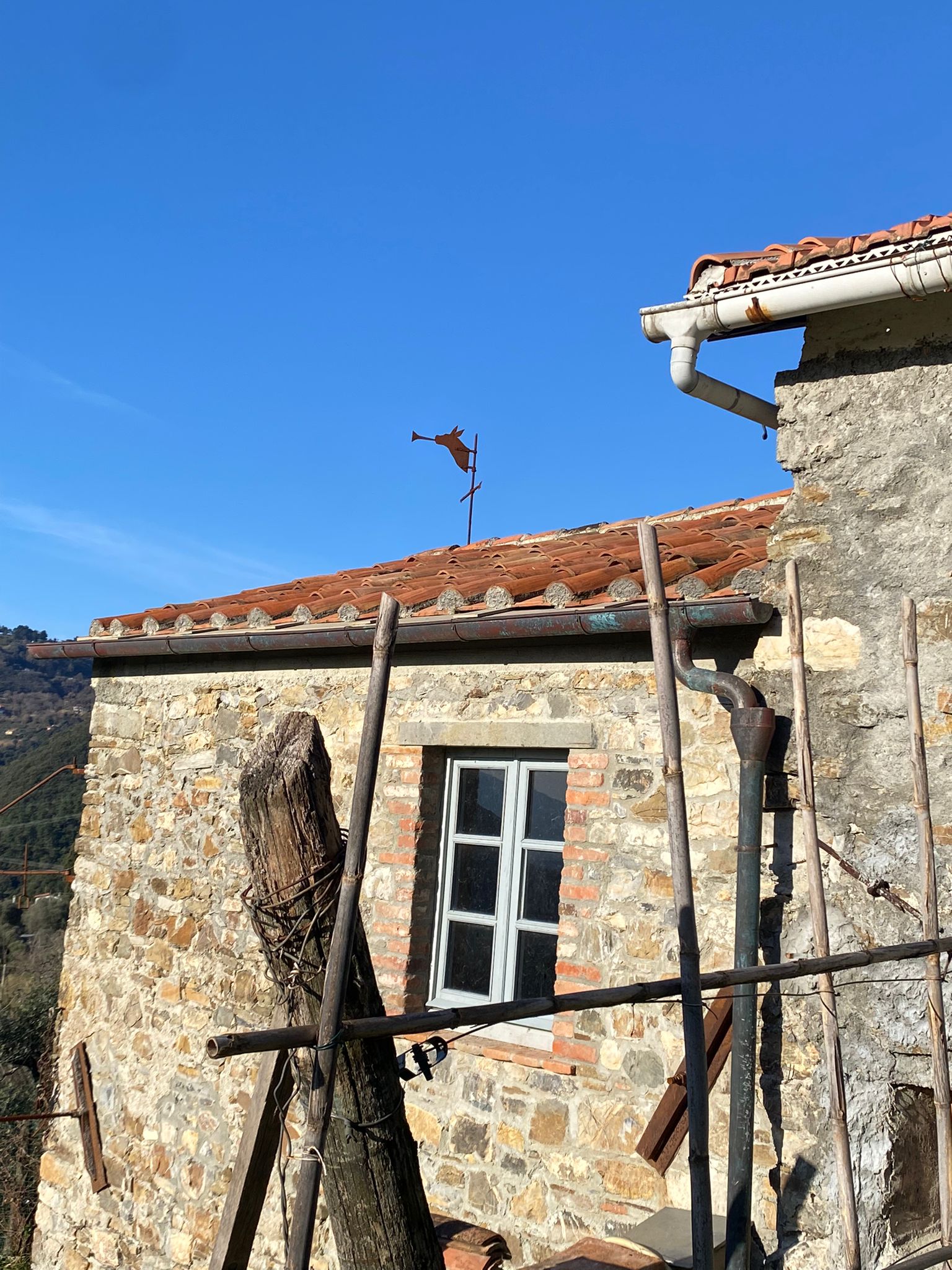 Semindipendente in sasso