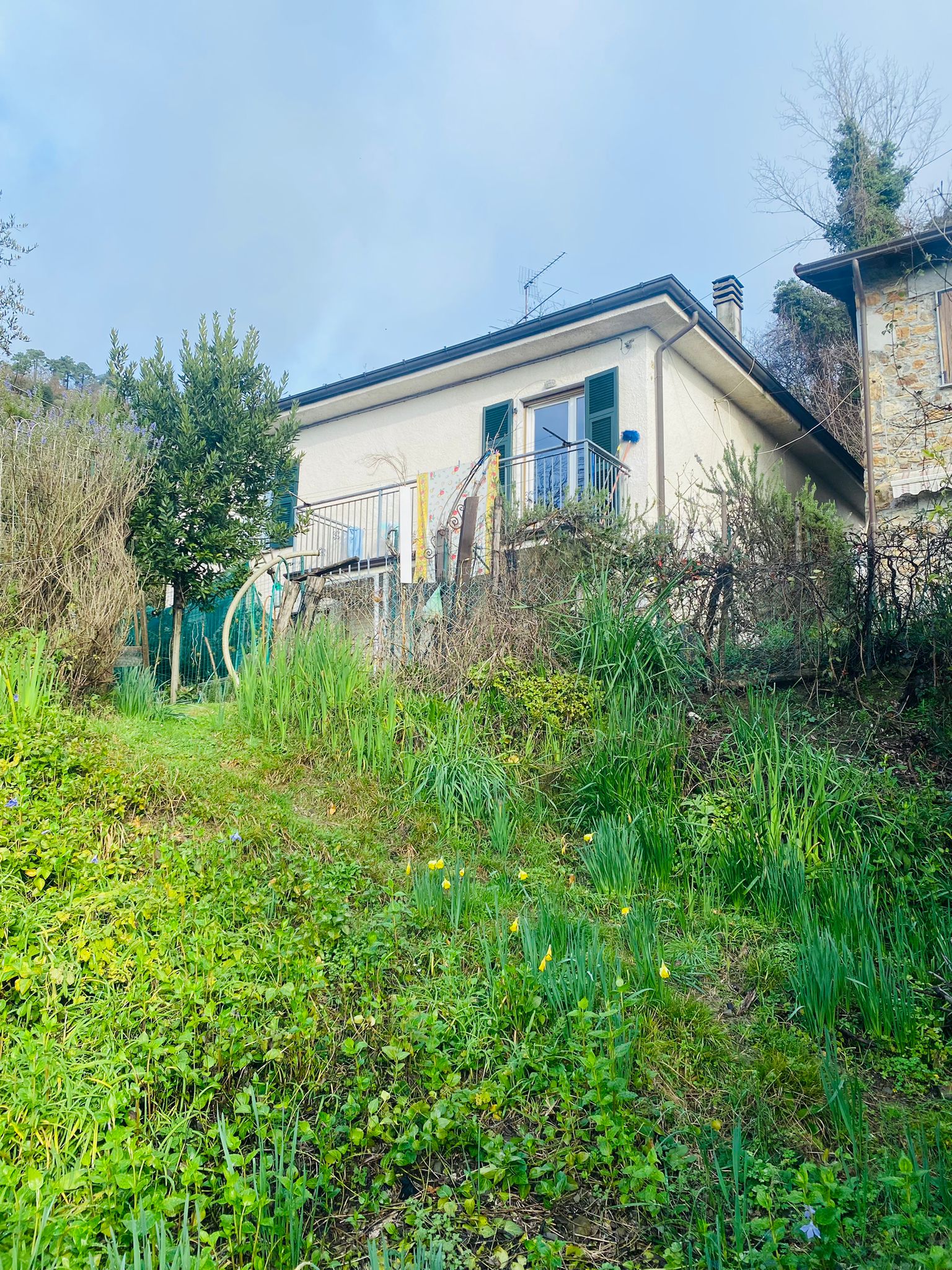 Indipendente con terreno, ulivi e vista mare – 15 min da Follo