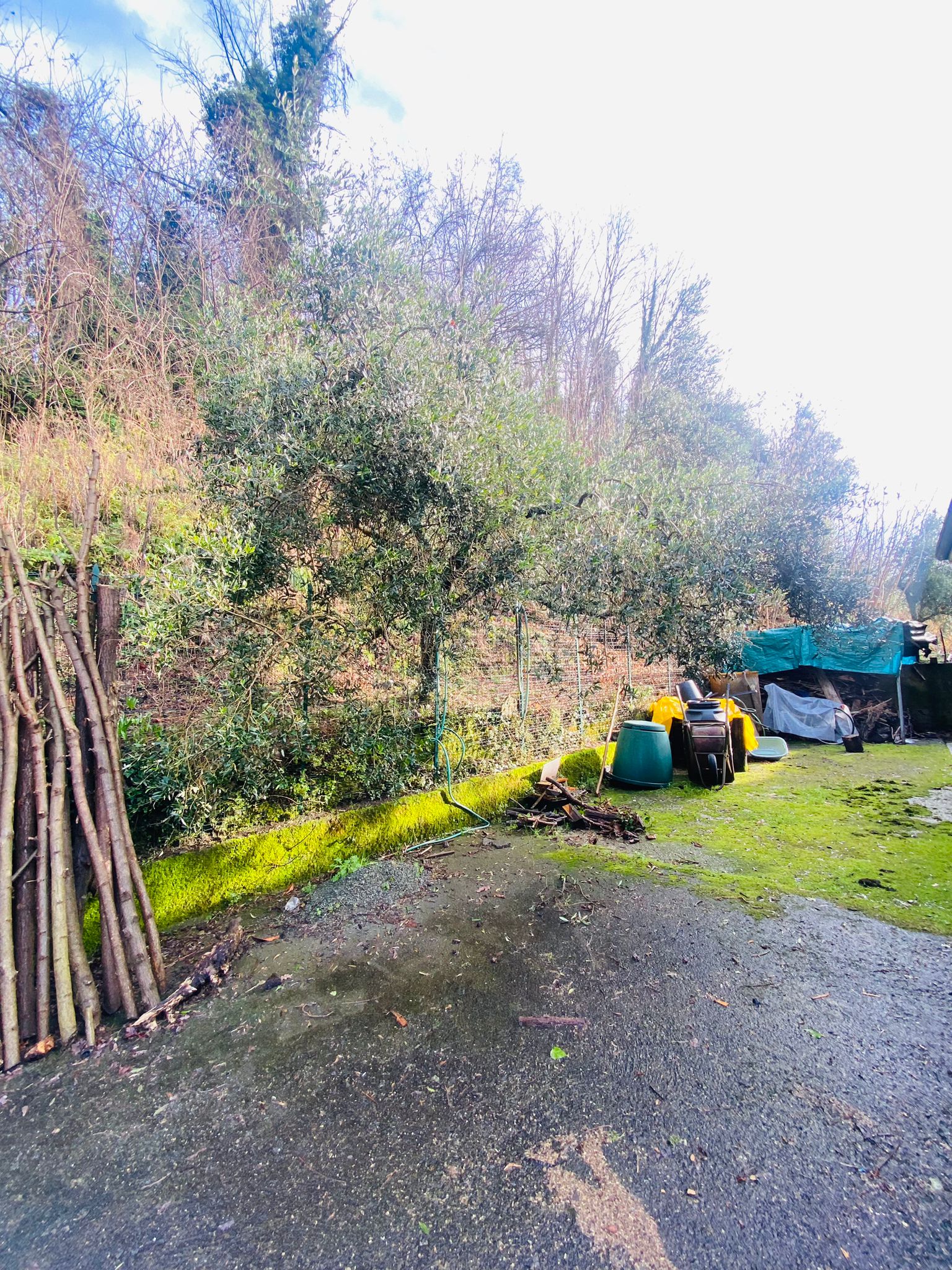 Indipendente con terreno, ulivi e vista mare – 15 min da Follo
