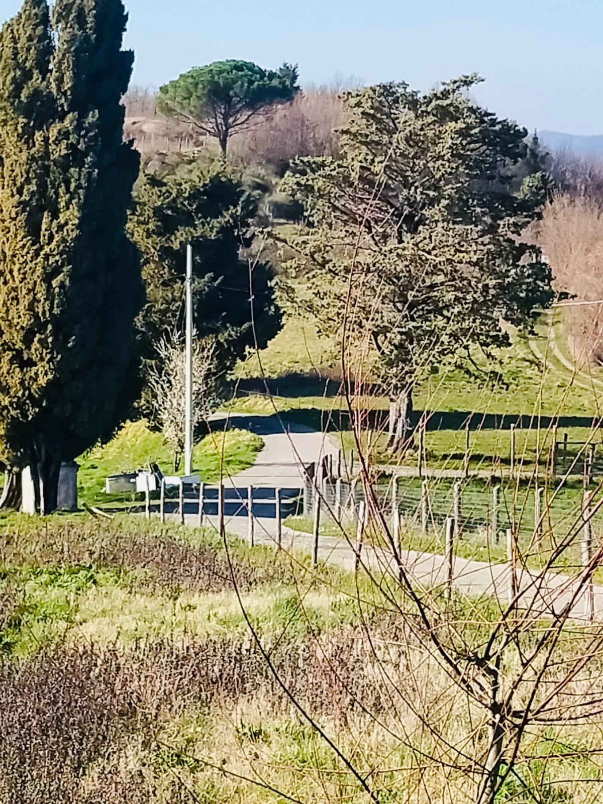 Affascinante casa di borgo con camino e vista sulle valli della Lunigiana