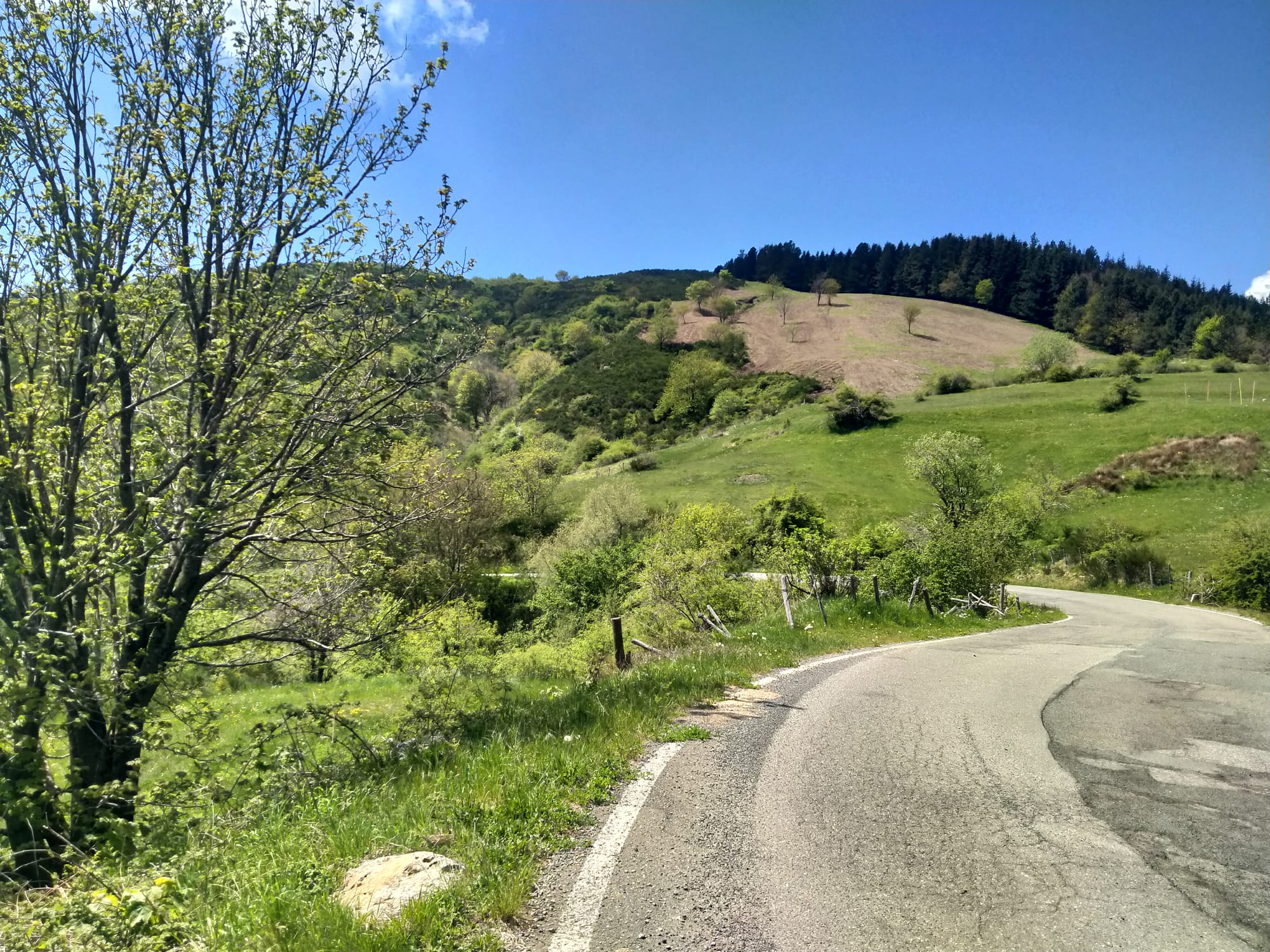 TORPIANA – ALTA VAL DI VARA Una casa felice immersa nella natura