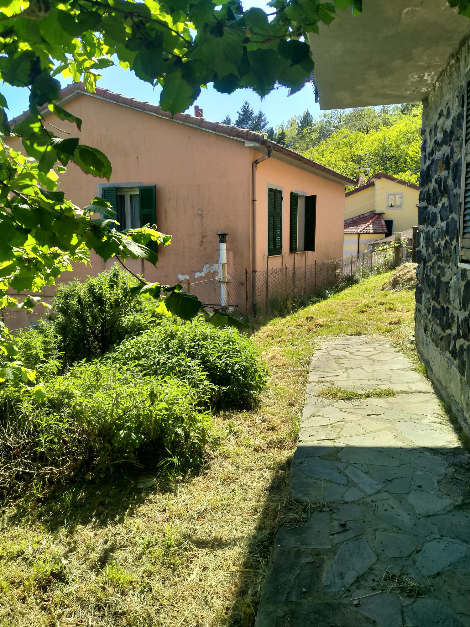 TORPIANA – ALTA VAL DI VARA Una casa felice immersa nella natura