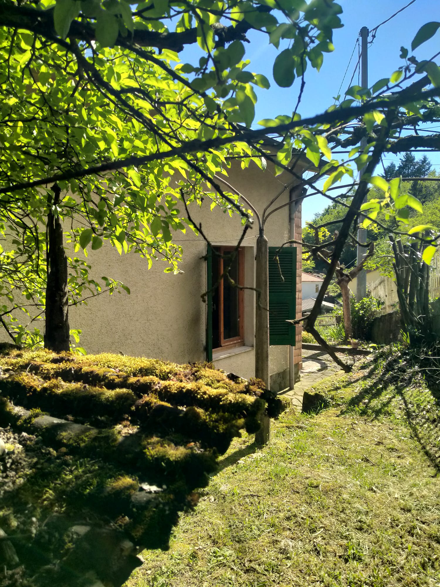 TORPIANA – ALTA VAL DI VARA Una casa felice immersa nella natura