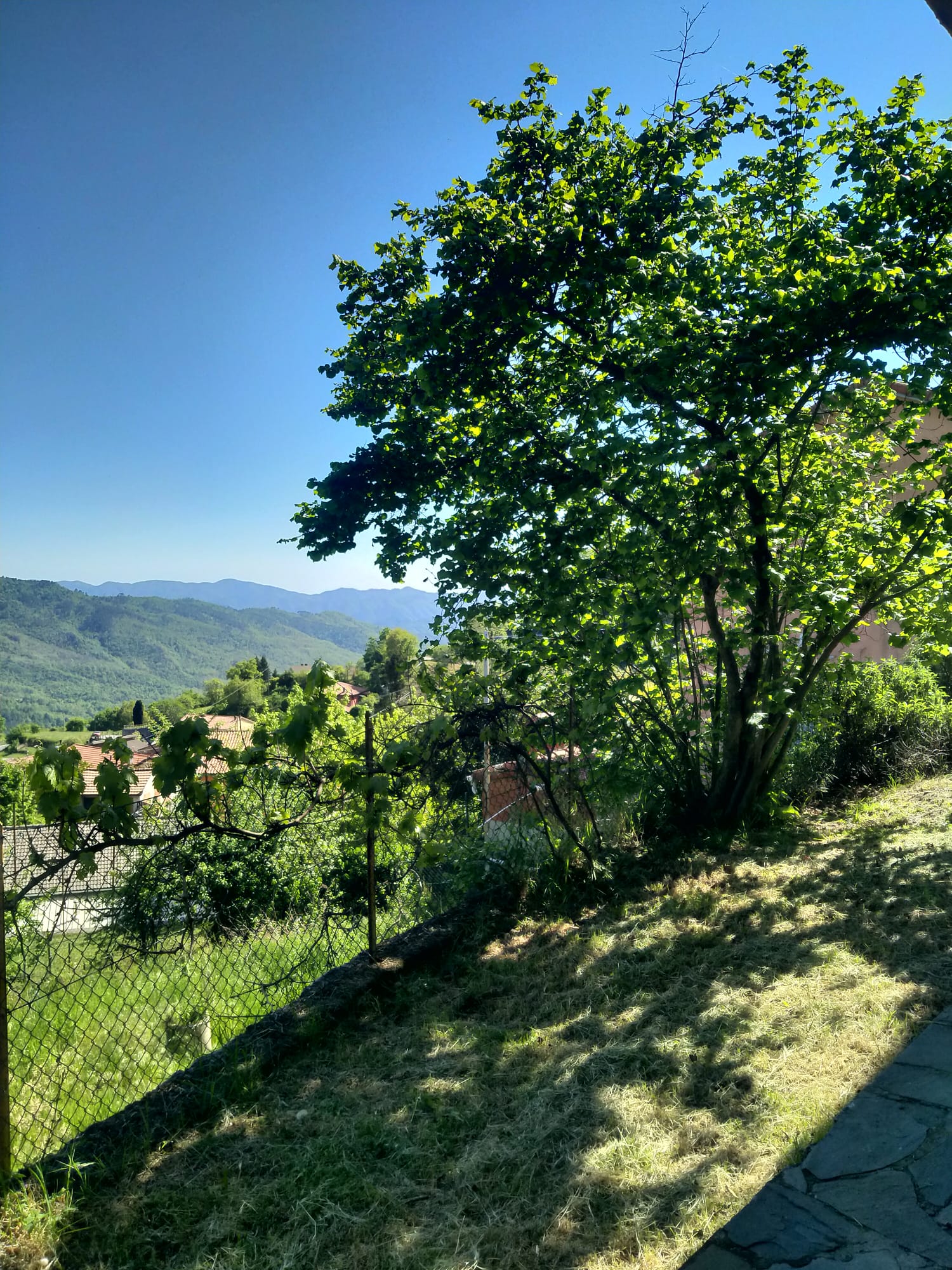 TORPIANA – ALTA VAL DI VARA Una casa felice immersa nella natura