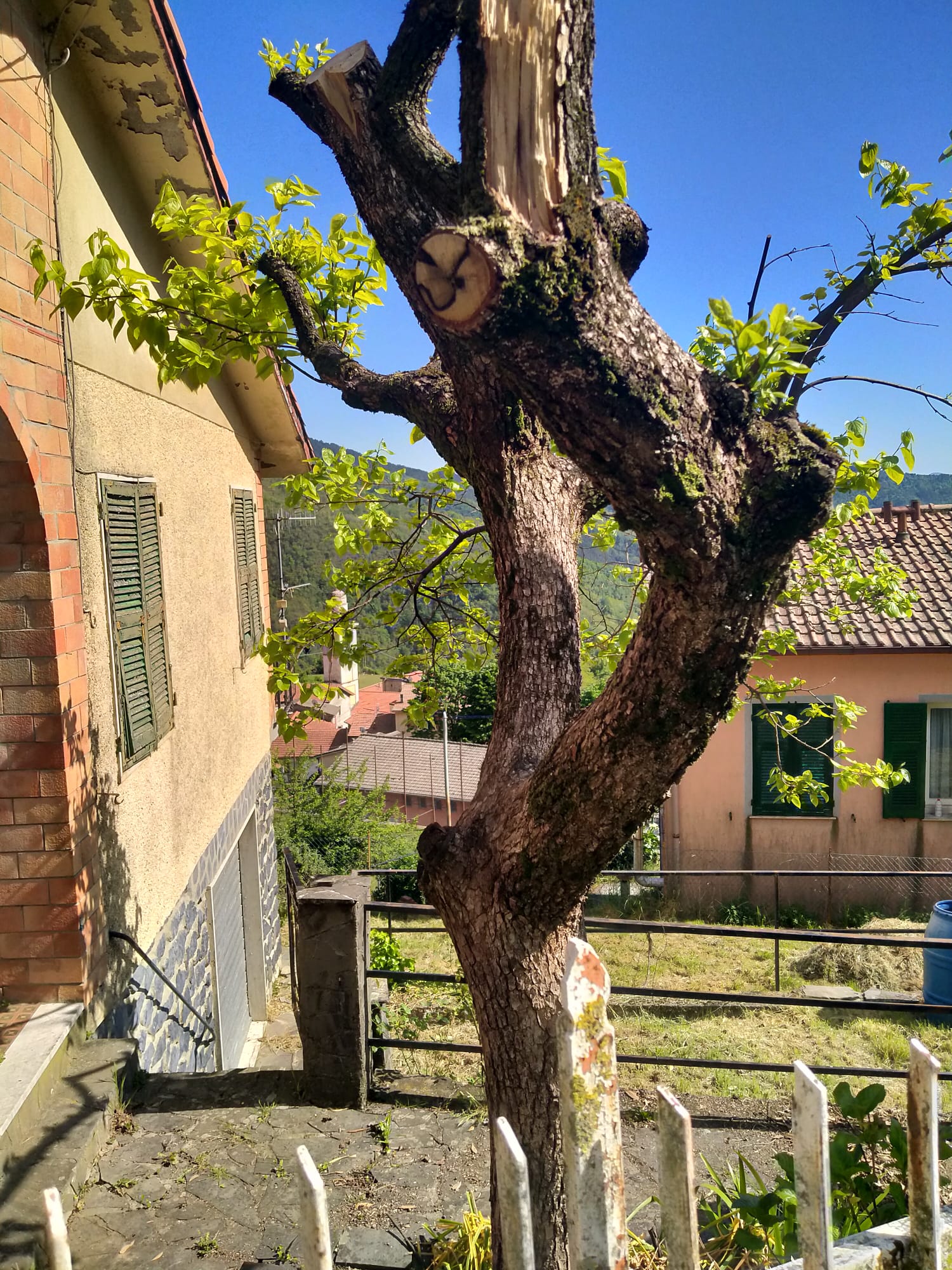 TORPIANA – ALTA VAL DI VARA Una casa felice immersa nella natura