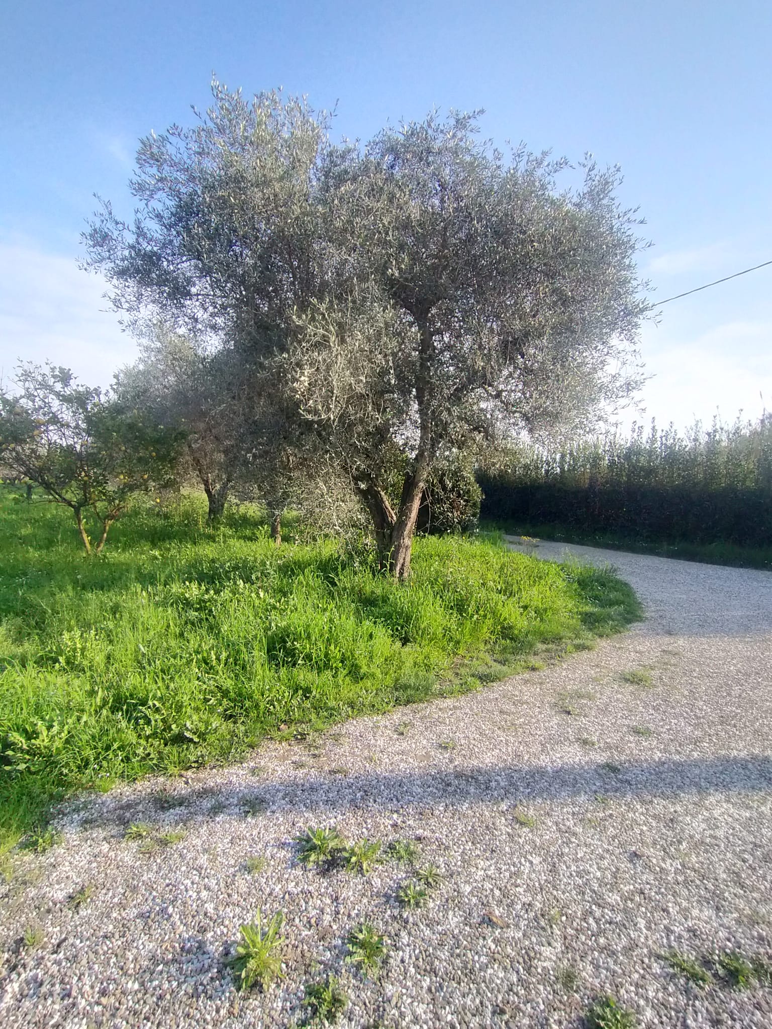 Una casa nella campagna più autentica tra Sarzana e Marinella