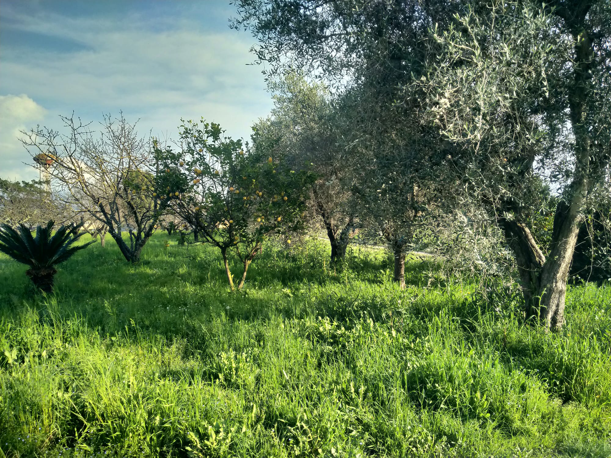 Una casa nella campagna più autentica tra Sarzana e Marinella