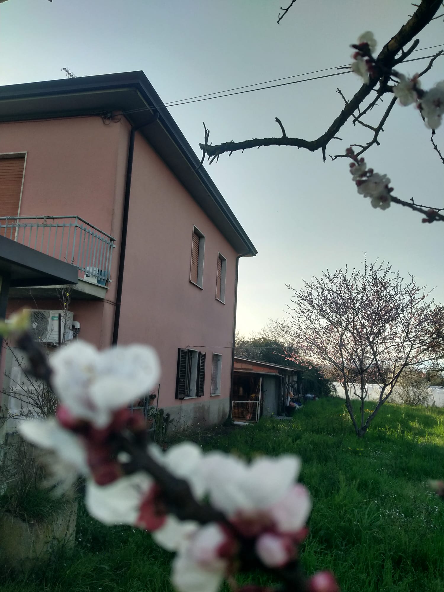Una casa nella campagna più autentica tra Sarzana e Marinella