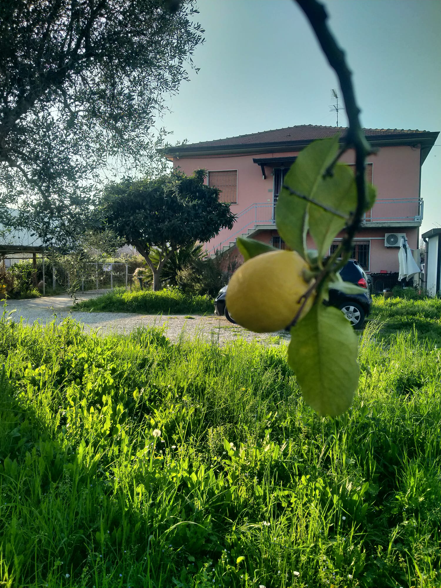 Una casa nella campagna più autentica tra Sarzana e Marinella