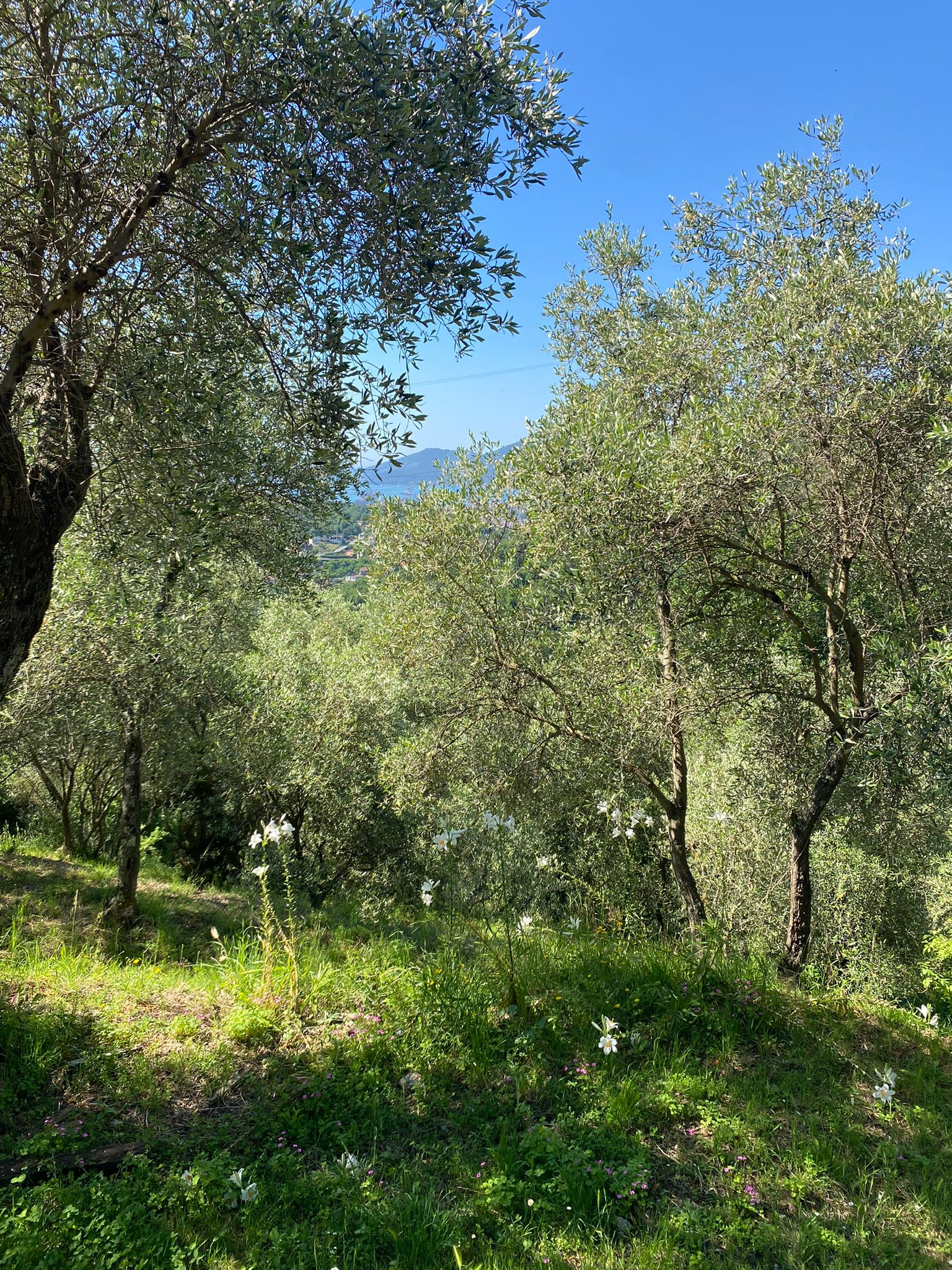E se il prossimo capitolo della tua vita iniziasse qui?
